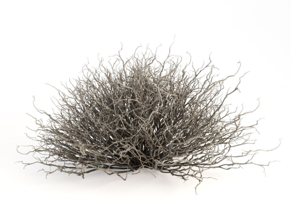 Sagebrush branch of twigs