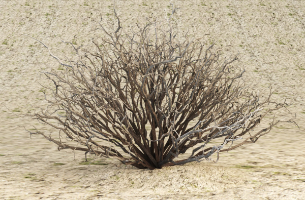 Sagebrush branch of twigs