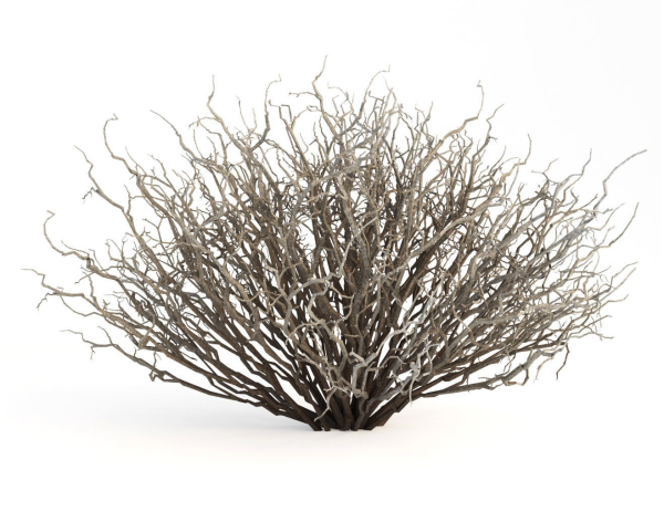 Sagebrush branch of twigs