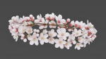 Saku Japanese Flowers Wreath Greek wreath