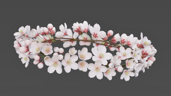 Saku Japanese Flowers Wreath Greek wreath
