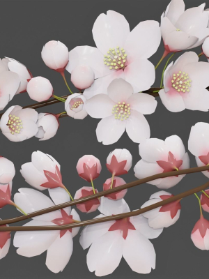 saku-japanese-flowers-wreath-greek-wreath-3d-model-fbffe50010