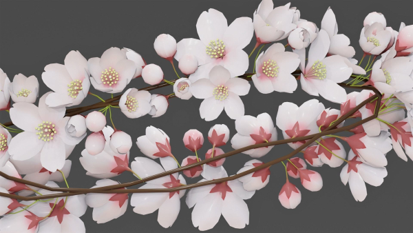 Saku Japanese Flowers Wreath Greek wreath