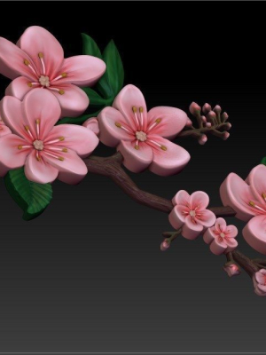 sakura branch of cherry blossoms