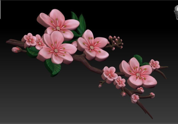 sakura branch of cherry blossoms