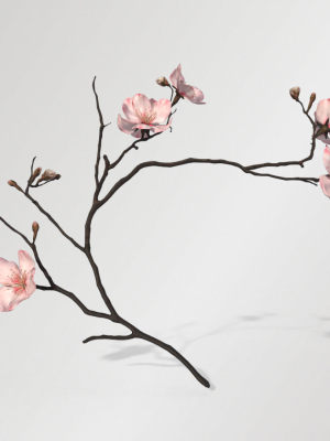 Sakura Branch