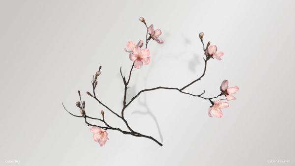Sakura Branch