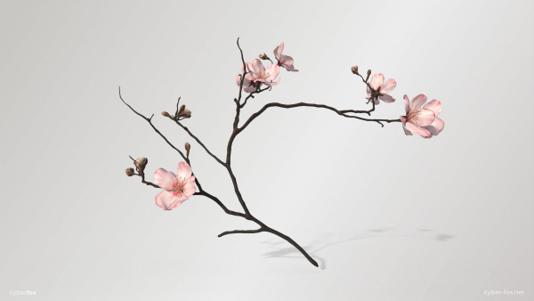 Sakura Branch