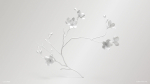 Sakura Branch