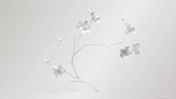 Sakura Branch