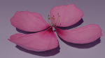 Sakura Flower