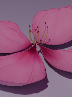 sakura-flower-3d-model-low-poly-obj-fbx-blend-fbm