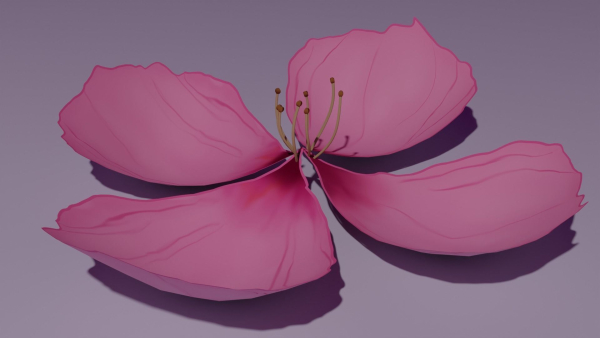 Sakura Flower