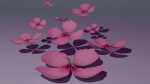 Sakura Flower