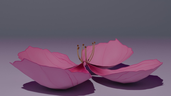 Sakura Flower