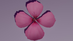 Sakura Flower