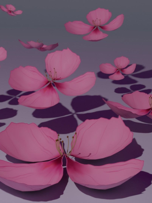 Sakura Flower