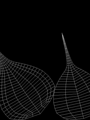 salak-3d-model-ma-mel
