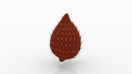 Salak pine cone