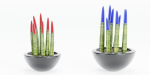 sansevieria plants collection vol 70-Blender