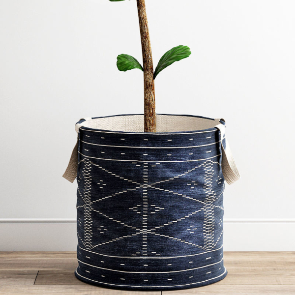 Scandi Ficus