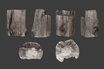 Scanned Logs Planks Sticks and Stumps