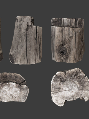 scanned-logs-planks-sticks-and-stumps-3d-model-low-poly