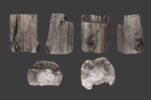 Scanned Logs Planks Sticks and Stumps