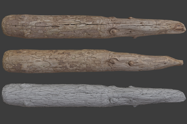 Scanned Logs Planks Sticks and Stumps