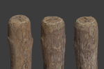 Scanned Logs Planks Sticks and Stumps