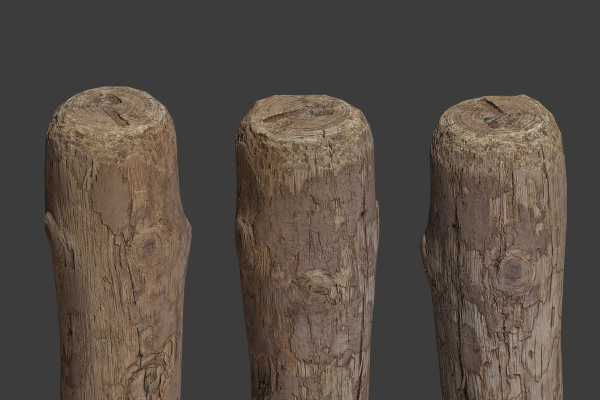 Scanned Logs Planks Sticks and Stumps