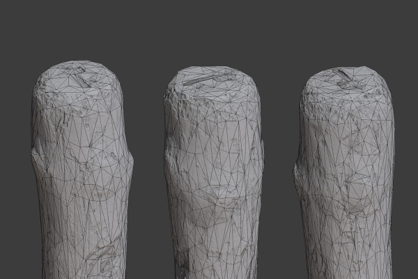 Scanned Logs Planks Sticks and Stumps