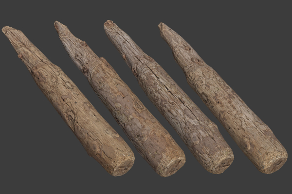 Scanned Logs Planks Sticks and Stumps