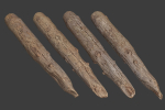 Scanned Logs Planks Sticks and Stumps