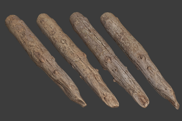 Scanned Logs Planks Sticks and Stumps