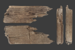 Scanned Logs Planks Sticks and Stumps