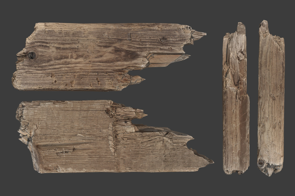 Scanned Logs Planks Sticks and Stumps