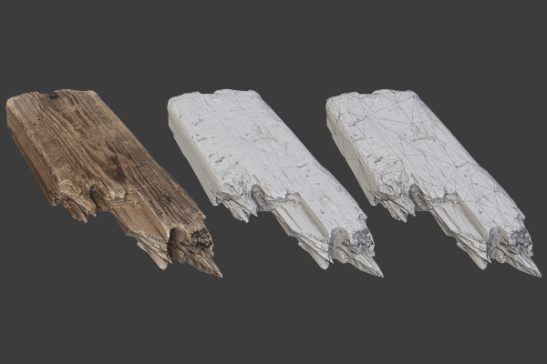 Scanned Logs Planks Sticks and Stumps