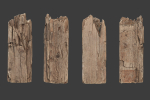 Scanned Logs Planks Sticks and Stumps