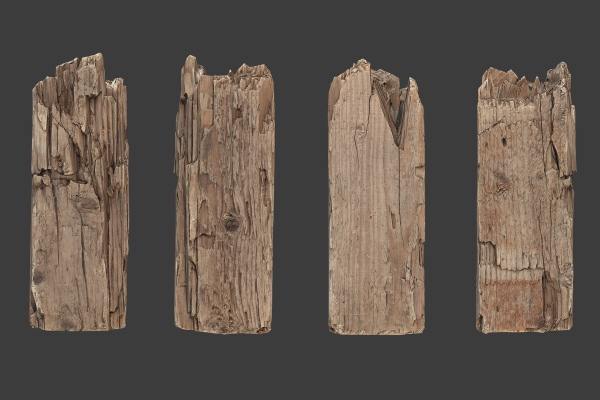 Scanned Logs Planks Sticks and Stumps