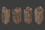 Scanned Logs Planks Sticks and Stumps