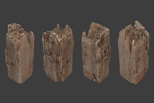 Scanned Logs Planks Sticks and Stumps
