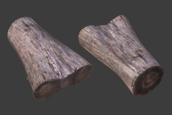 Scanned Logs Planks Sticks and Stumps