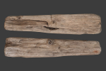 Scanned Logs Planks Sticks and Stumps