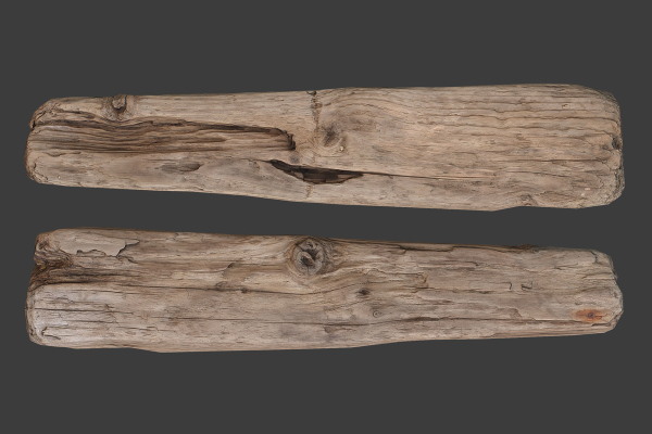 Scanned Logs Planks Sticks and Stumps