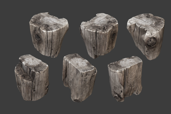 Scanned Logs Planks Sticks and Stumps