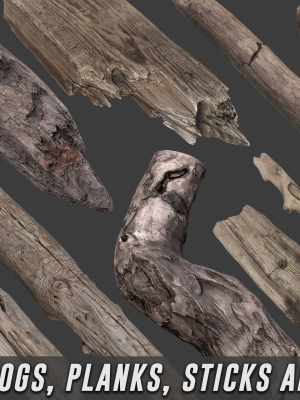 Scanned Logs Planks Sticks and Stumps