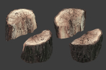 Scanned Logs Planks Sticks and Stumps