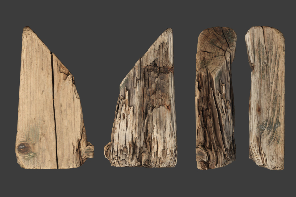 Scanned Logs Planks Sticks and Stumps