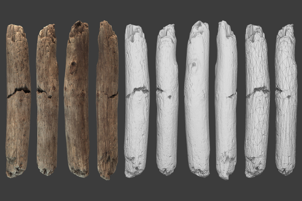 Scanned Logs Planks Sticks and Stumps